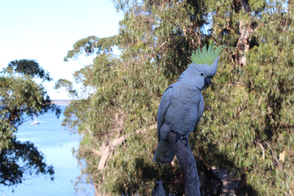 Cosy weekend retreat in Nungurner