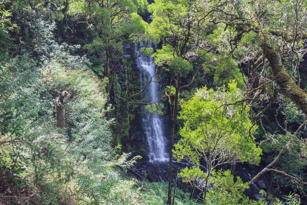 Anglesea Waterfalls