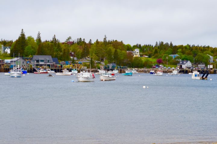 Acadia Travel Guide: Picture Perfect Spots in Acadia National Park