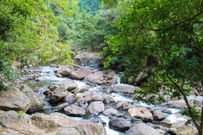 Travel Diary: Crystal Cascades – Peaceful Retreat in Cairns, Australia